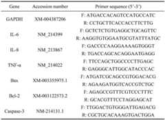 Figure GDA0003265000980000261