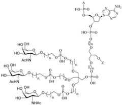 Figure imgf000180_0002
