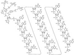 Figure imgf000127_0001