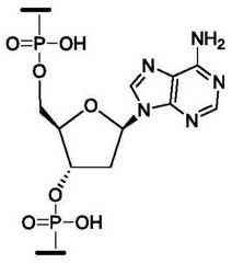 Figure BDA0003018192690001353