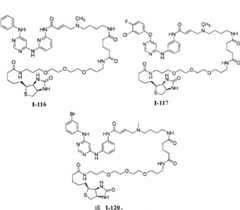 Figure FPA00001476434800081