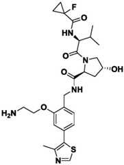 Figure BDA0002964098100001272