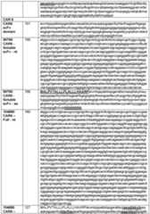 Figure imgf000165_0001