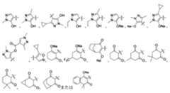 Figure 0007576548000010