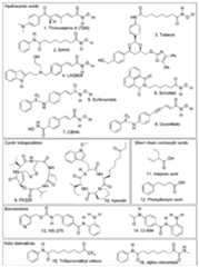 Figure imgf000081_0001