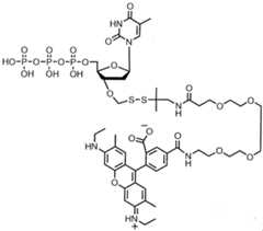 Figure imgf000249_0002