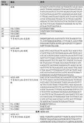 Figure BDA0003324235030001401