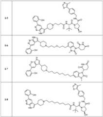 Figure imgf000247_0001