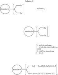 Figure US07179617-20070220-C00018