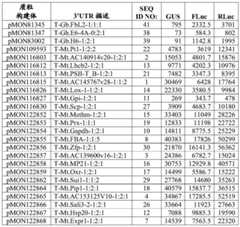 Figure BDA0003858538280000271