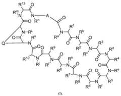 Figure imgf000005_0001