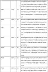 Figure BDA0004113681710000401