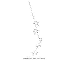 Figure 0007704732000176