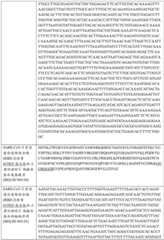 Figure BDA0003154168970000391