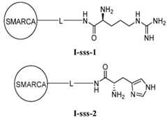 Figure imgf000181_0002