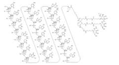 Figure imgf000018_0001