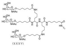 Figure 2023012548000374