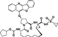 Figure G2008101743025D00067