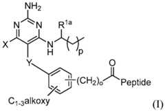 Figure imgf000055_0001