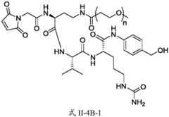 Figure FDA0003674984860000251