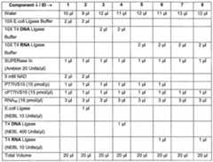 Figure imgf000019_0001