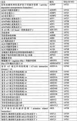 Figure BPA0000291811450002341