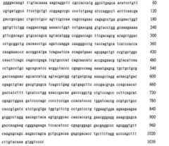 Figure 106137461-A0202-12-0241-257