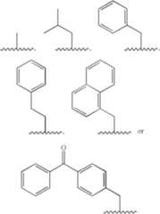 Figure US07175994-20070213-C00016