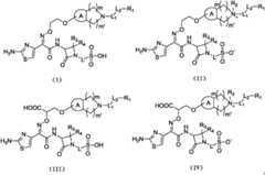 Figure GPA0000290633380000077