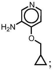 Figure BDA0001412716210003436