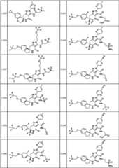 Figure JPOXMLDOC01-appb-T000128