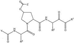 Figure imgf000568_0001