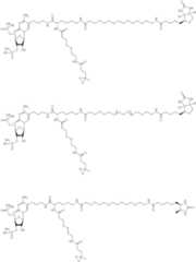 Figure US09206216-20151208-C00124