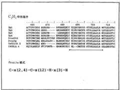 Figure A20068002758600341