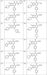 Figure BDA0001398004820000101