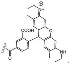 Figure BDA0003670511740001155