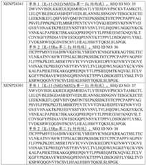 Figure BDA0003762821880000591