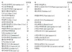 Figure 112020137177754-pat00002