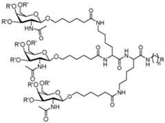 Figure imgf000442_0001
