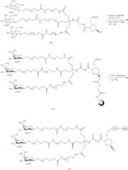 Figure US10683499-20200616-C00221
