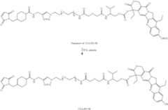 Figure US09475884-20161025-C00010