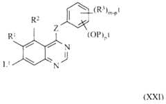Figure imgf000031_0001