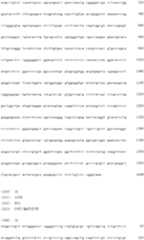 Figure IDA0000137962460000461