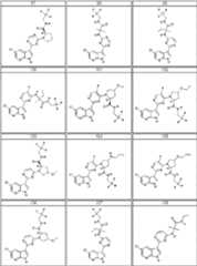 Figure BDA0000106649180000261