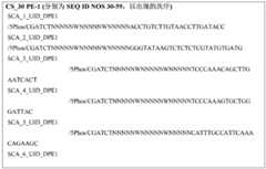 Figure BDA0002117476820001161