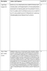 Figure imgf000077_0001