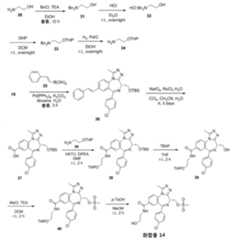 Figure 112016107528273-pct00063