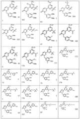 Figure 0006990229000019