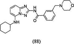 Figure GPA00001035513101021