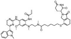 Figure GDA0003276334280001881